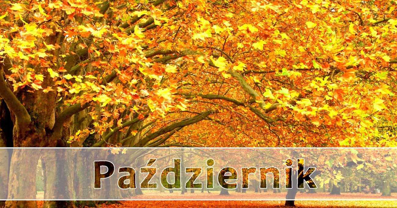 pazdziernik_sko_thumb