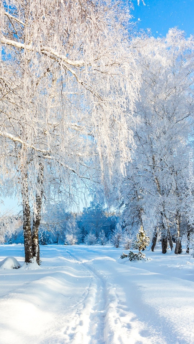 tapeta-na-telefon-zimowy-krajobraz-2