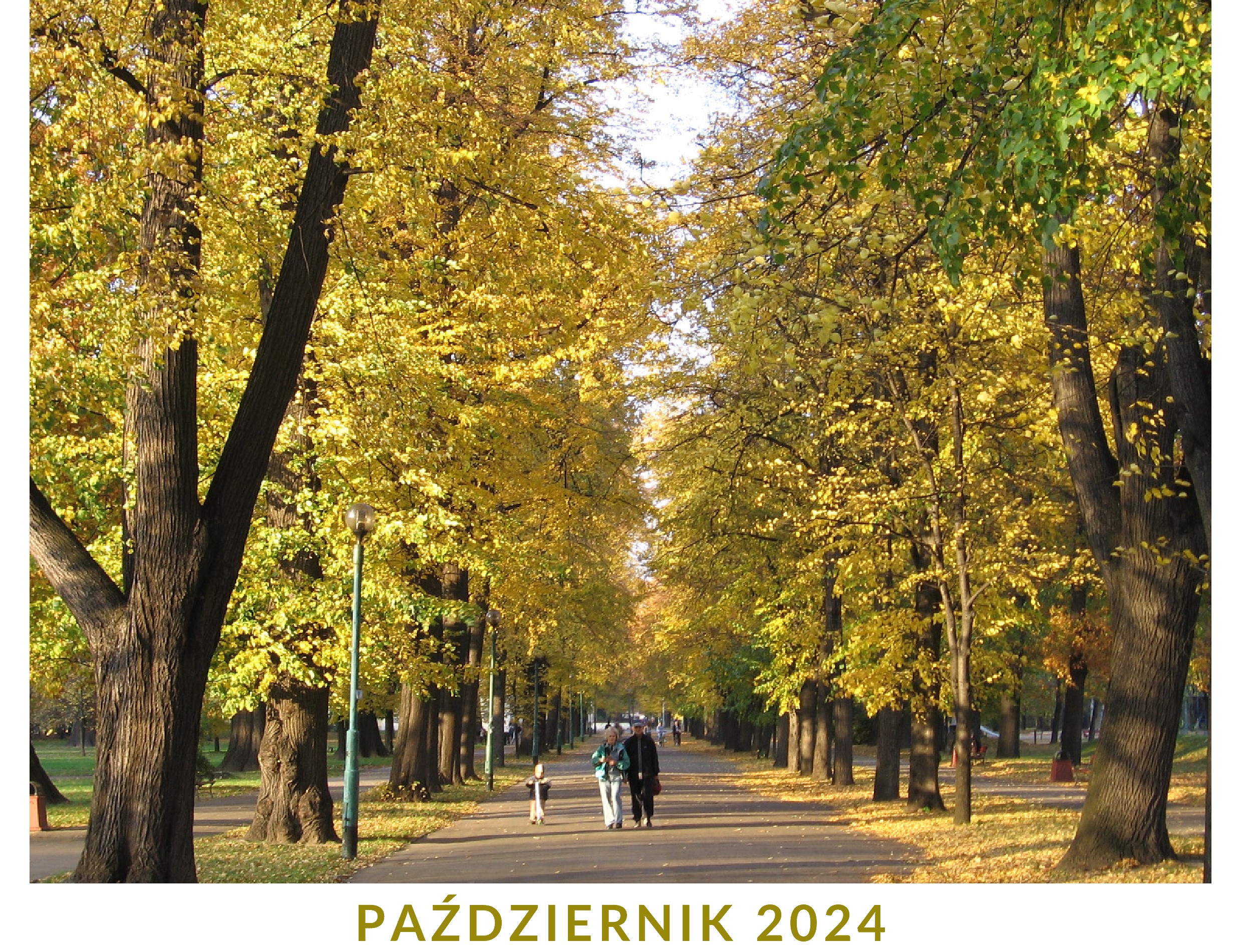 Kalendarz październik 2024