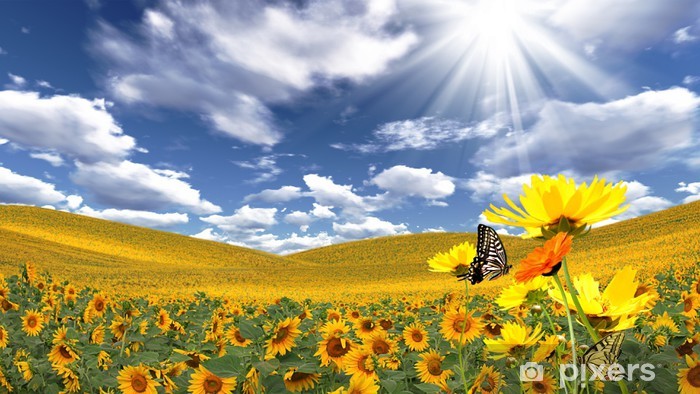 Beautiful summer landscape