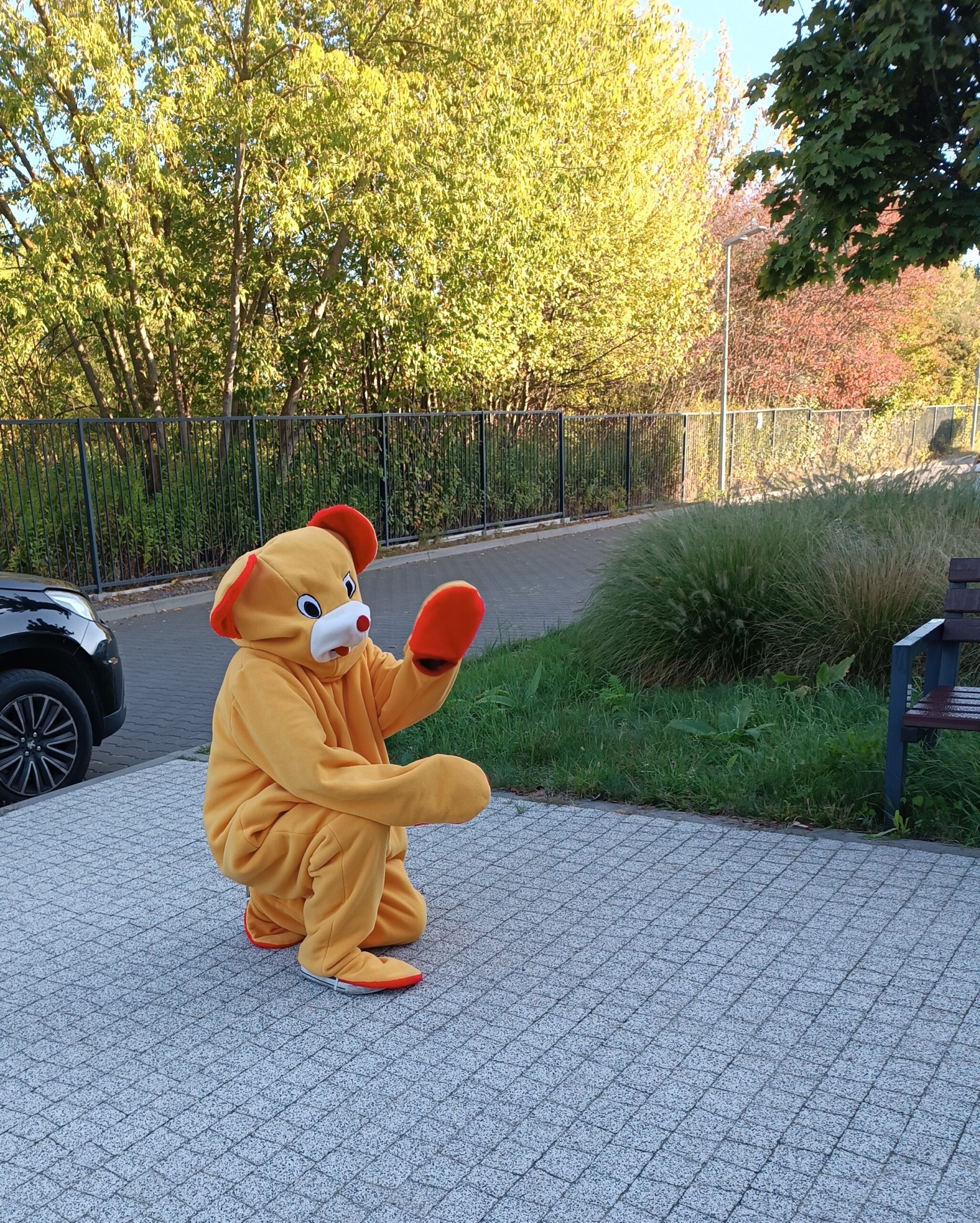 wrzesień