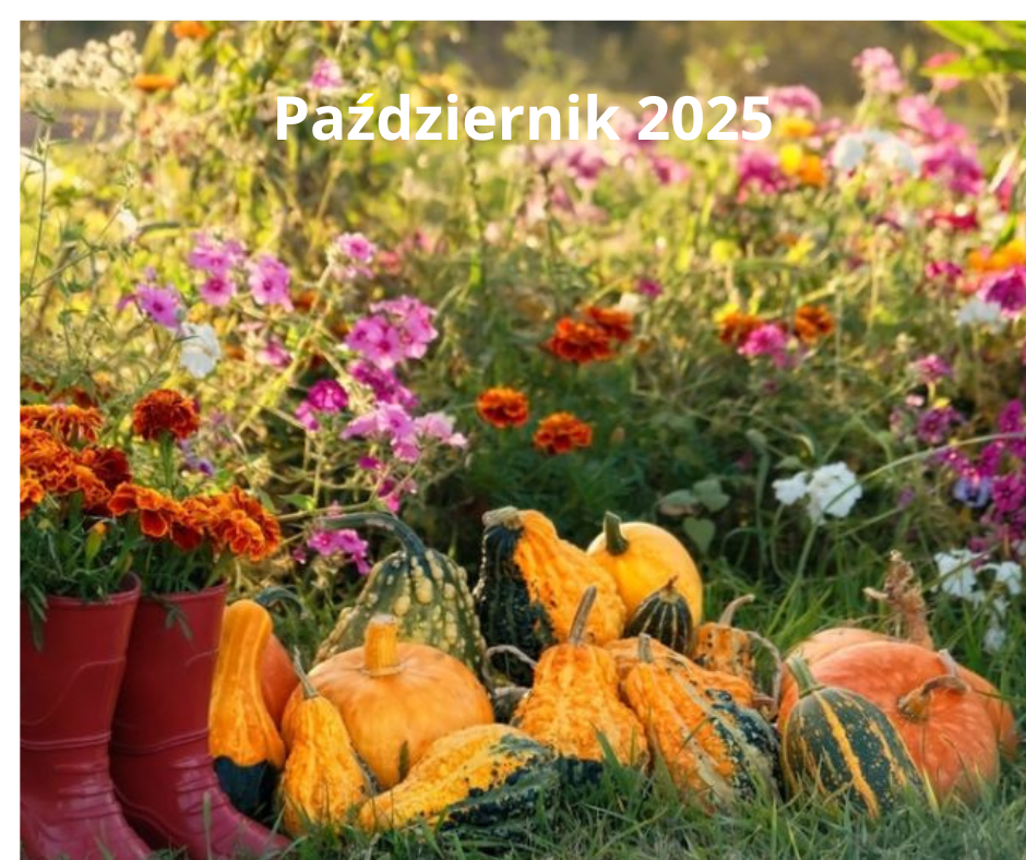 Dodaj nagłówek_20251029_130124_0000