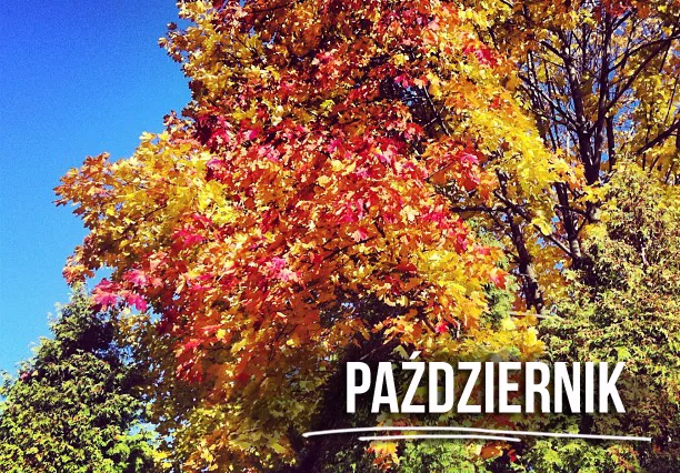 październi4k