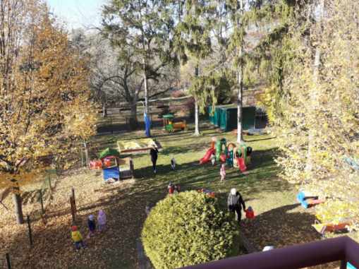 Resized_20251106_110932_153692762846452