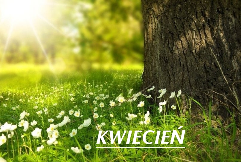 kwiecien