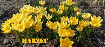marzec 1